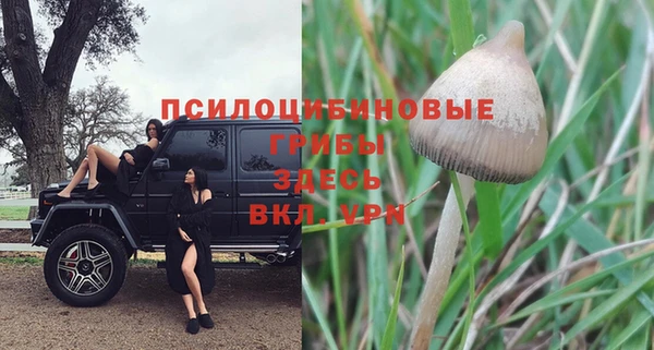 круглые Алзамай