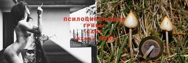 скорость Абинск