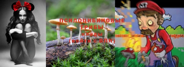 круглые Алзамай