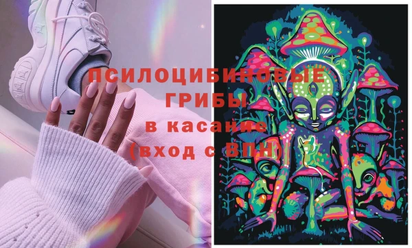 бутират Покачи