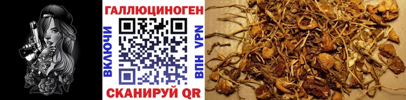 ОМГ ОМГ маркетплейс  Богородск  Галлюциногенные грибы GOLDEN TEACHER 